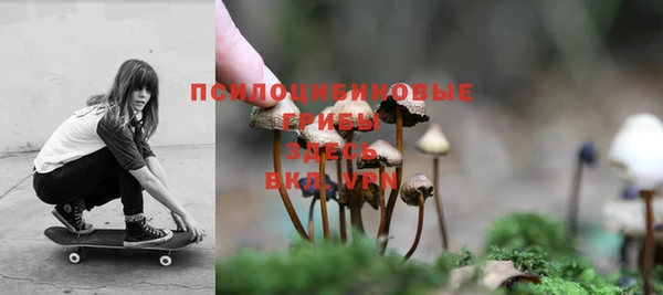 гидропоника Балабаново
