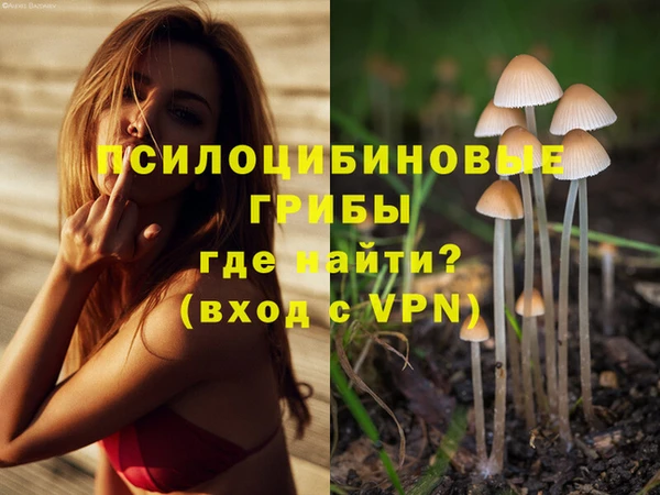 меф Балахна